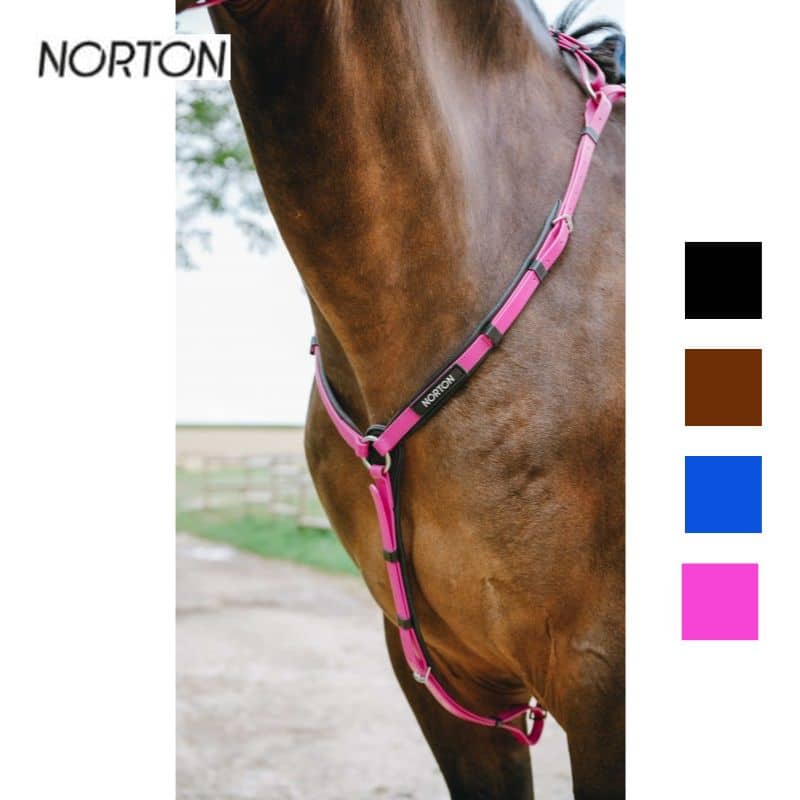 collier de chasse endurance NORTON EK POP 301617 Sellerie Equinoxe Shop