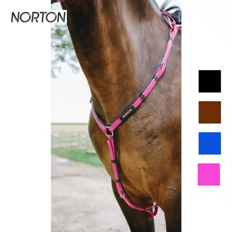 collier de chasse endurance NORTON EK POP 301617 Sellerie Equinoxe Shop