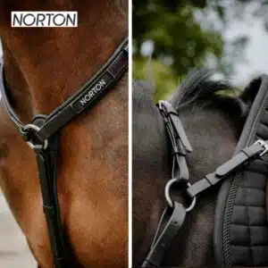 collier de chasse endurance NORTON EK POP 306617 Sellerie Equinoxe Shop collier de chasse endurance NORTON EK POP 306617 Sellerie Equinoxe Shop