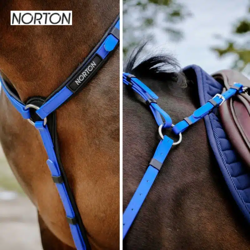 collier de chasse endurance NORTON EK POP 306617 bleu roi Sellerie Equinoxe Shop