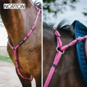 collier de chasse endurance NORTON EK POP ROSE 306617 Sellerie Equinoxe Shop collier de chasse endurance NORTON EK POP ROSE 306617 Sellerie Equinoxe Shop