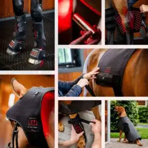 gamme thérapie Led Horseware soins cheval Sellerie Equinoxe Shop gamme thérapie Led Horseware soins cheval Sellerie Equinoxe Shop