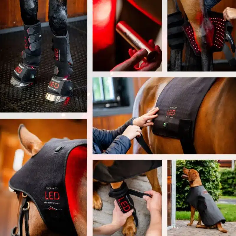 gamme thérapie Led Horseware soins cheval Sellerie Equinoxe Shop