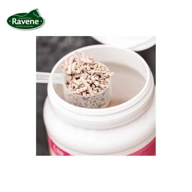 nutri digest Ravene granules pour cheval Prébiotiques probiotiques lithothamne argile aloe vera Cheval Sellerie Equinoxe Shop Fuveau nutri digest Ravene granules pour cheval Prébiotiques probiotiques lithothamne argile aloe vera Cheval Sellerie Equinoxe Shop Fuveau