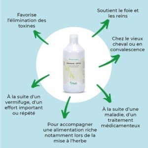 Actions et bénéfices de DRAINANT DETOX NUTRAGILE Sellerie Equinoxe Shop