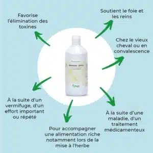 Actions et bénéfices de DRAINANT DETOX NUTRAGILE Sellerie Equinoxe Shop Actions et bénéfices de DRAINANT DETOX NUTRAGILE Sellerie Equinoxe Shop