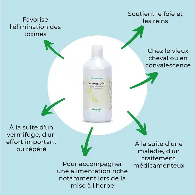 Actions et bénéfices de DRAINANT DETOX NUTRAGILE Sellerie Equinoxe Shop