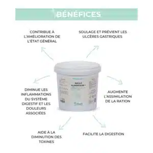 Bénéfices Argile + NUTRAGILE Sellerie Equinoxe Shop Fuveau Bénéfices Argile + NUTRAGILE Sellerie Equinoxe Shop Fuveau