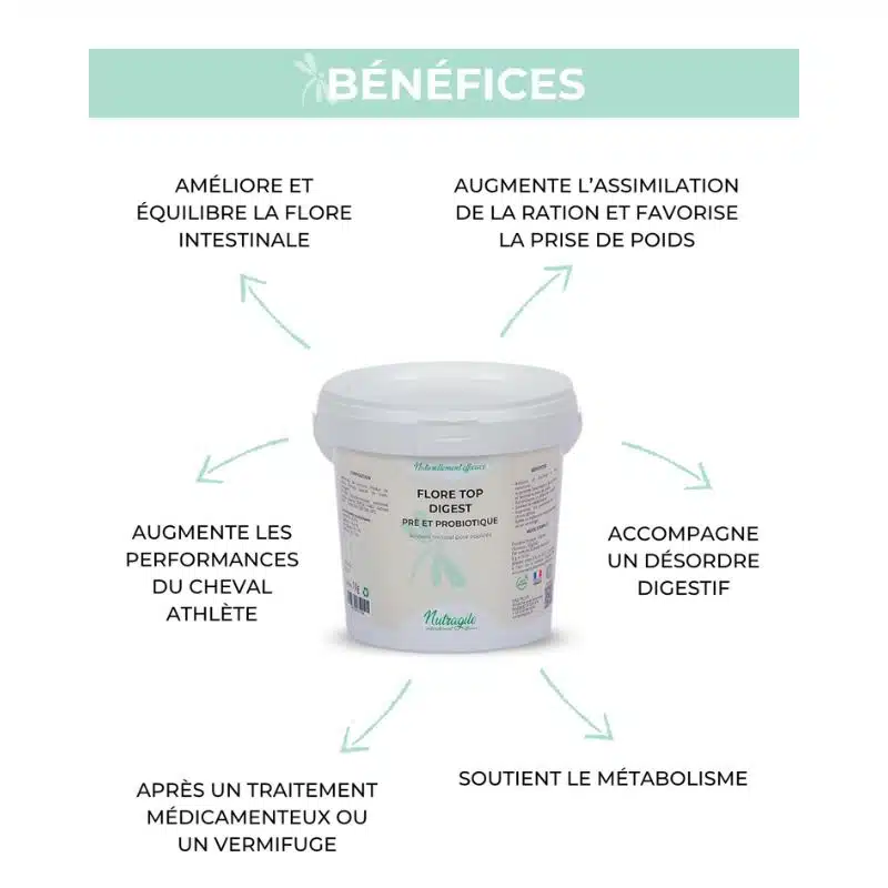 Bénéfices Flore Top Digest NUTRAGILE Pré et probiotique Levures vivantes chevaux Sellerie Equinoxe Shop Bénéfices Flore Top Digest NUTRAGILE Pré et probiotique Levures vivantes chevaux Sellerie Equinoxe Shop
