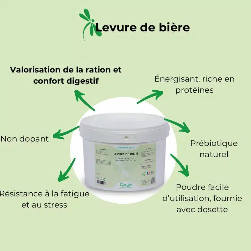 Bénéfices Levure de bière NUTRAGILE chevaux Sellerie Equinoxe Shop