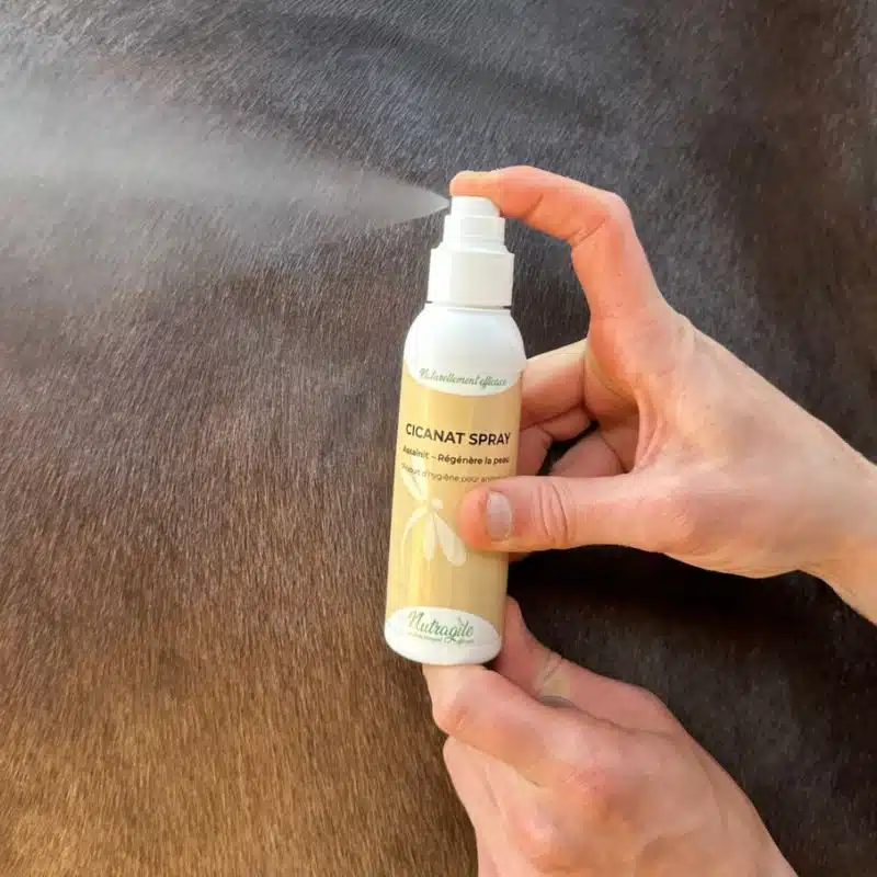 Cicanat Spray cicatrisant NUTRAGILE spray cicatrisant chevaux Sellerie Equinoxe Shop