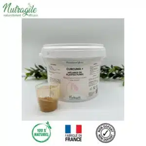 Curcuma + Gingembre NUTRAGILE cure cheval Sellerie Equinoxe
