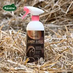 Démêlant lustrant Easy shine edition limitée 20 ans RAVENE Sellerie Equinoxe Shop