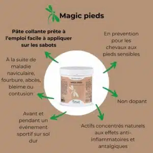 Effet Pâte d'argile collante Magic Pieds NUTRAGILE chevaux Sellerie Equinoxe Shop Fuveau Effet Pâte d'argile collante Magic Pieds NUTRAGILE chevaux Sellerie Equinoxe Shop Fuveau