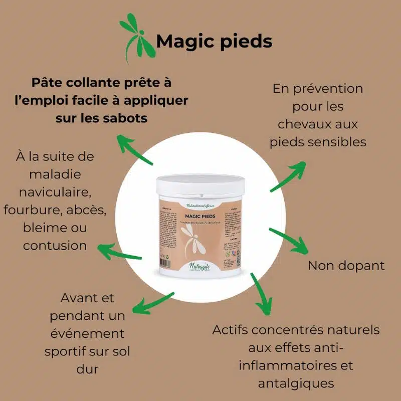 Effet Pâte d'argile collante Magic Pieds NUTRAGILE chevaux Sellerie Equinoxe Shop Fuveau
