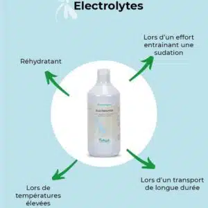 Electolytes NUTRAGILE Réhydratant cheval de sport Sellerie Equinoxe Shop