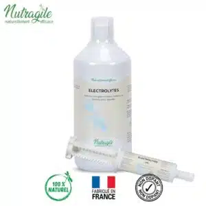 Electolytes NUTRAGILE Réhydratant cheval de sport Sellerie Equinoxe Shop Fuveau Electolytes NUTRAGILE Réhydratant cheval de sport Sellerie Equinoxe Shop Fuveau