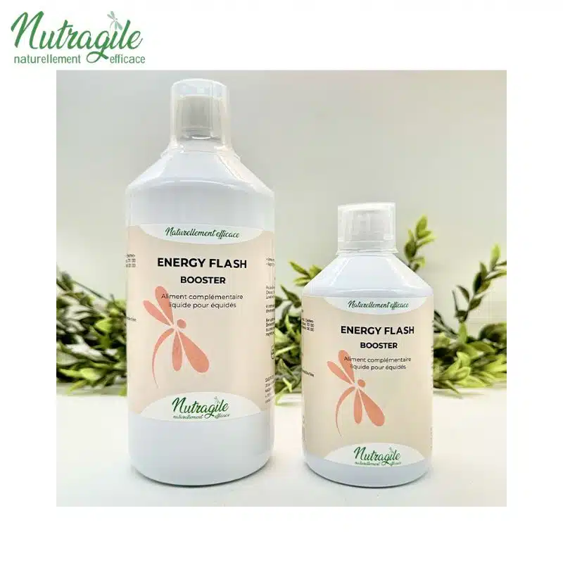 Energy Flash Booster Liquide NUTRAGILE Sellerie Equinoxe Shop Fuveau