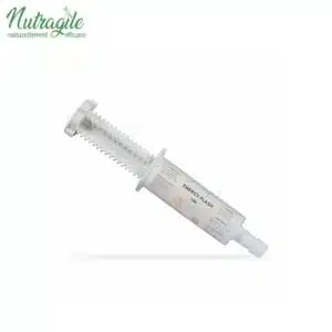 Energy Flash Booster Seringue NUTRAGILE Sellerie Equinoxe Shop Fuveau Energy Flash Booster Seringue NUTRAGILE Sellerie Equinoxe Shop Fuveau