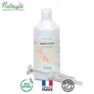 Energy Flash Booster pour chevaux NUTRAGILE Sellerie Equinoxe Shop Fuveau Energy Flash Booster pour chevaux NUTRAGILE Sellerie Equinoxe Shop Fuveau
