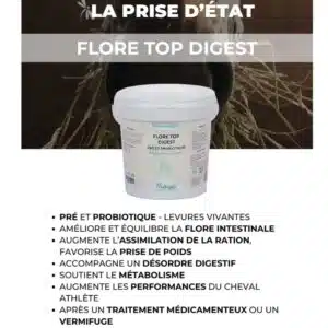 Flore Top Digest NUTRAGILE Pré et probiotique Levures vivantes chevaux Sellerie Equinoxe Shop Flore Top Digest NUTRAGILE Pré et probiotique Levures vivantes chevaux Sellerie Equinoxe Shop