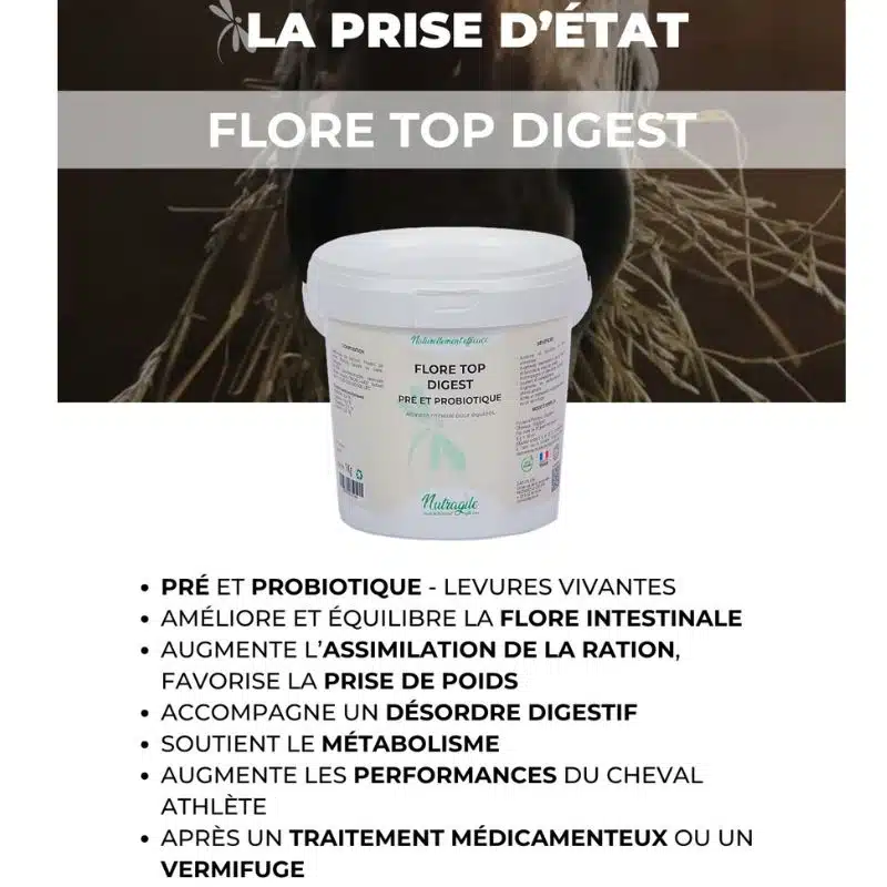 Flore Top Digest NUTRAGILE Pré et probiotique Levures vivantes chevaux Sellerie Equinoxe Shop Flore Top Digest NUTRAGILE Pré et probiotique Levures vivantes chevaux Sellerie Equinoxe Shop
