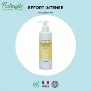Gel de Massage effort intense NUTRAGILE favorise récupération tendons articulation muscles cheval Sellerie Equinoxe Shop