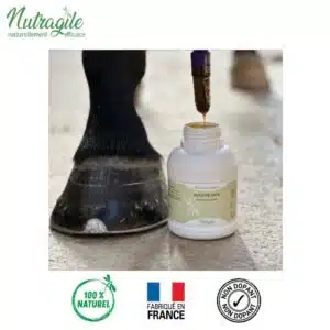 Huile de cade pour pieds des chevaux NUTRAGILE by Sellerie Equinoxe Shop Fuveau Huile de cade pour pieds des chevaux NUTRAGILE by Sellerie Equinoxe Shop Fuveau