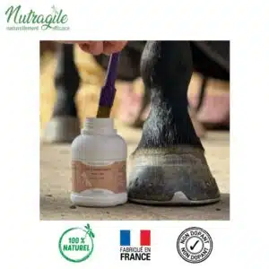 Huile pour sabot Forti Pied NUTRAGILE by Sellerie Equinoxe Shop Fuveau Huile pour sabot Forti Pied NUTRAGILE by Sellerie Equinoxe Shop Fuveau