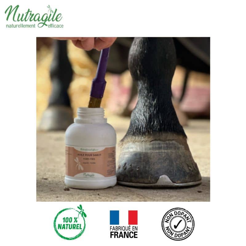 Huile pour sabot Forti Pied NUTRAGILE by Sellerie Equinoxe Shop Fuveau