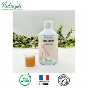 Locomotion Mix + NUTRAGILE complément alimentaire poudre souplesse et anti inflammation des articulations du cheval Sellerie Equinoxe Shop Locomotion Mix + NUTRAGILE complément alimentaire poudre souplesse et anti inflammation des articulations du cheval Sellerie Equinoxe Shop