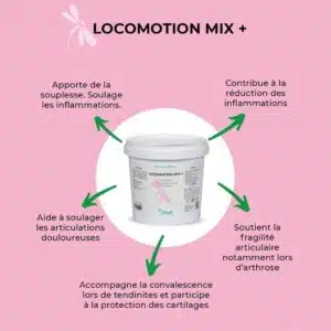 Locomotion Mix + NUTRAGILE complément alimentaire poudre souplesse et anti inflammation des articulations du cheval Sellerie Equinoxe Shop Locomotion Mix + NUTRAGILE complément alimentaire poudre souplesse et anti inflammation des articulations du cheval Sellerie Equinoxe Shop