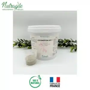 Locomotion Mix + NUTRAGILE complément alimentaire poudre souplesse et anti inflammation des articulations du cheval Sellerie Equinoxe Shop Fuveau Locomotion Mix + NUTRAGILE complément alimentaire poudre souplesse et anti inflammation des articulations du cheval Sellerie Equinoxe Shop Fuveau