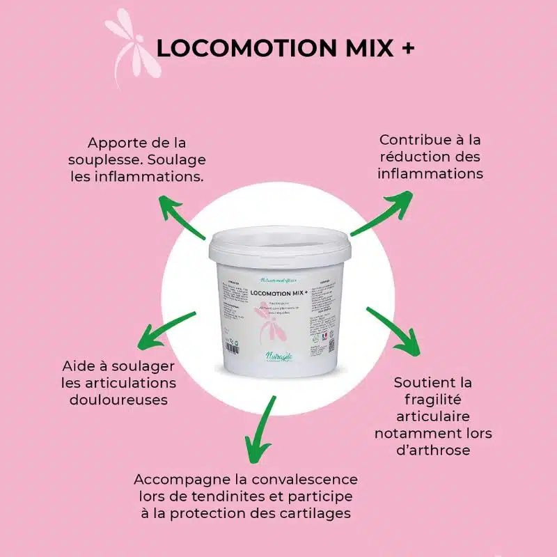 Locomotion Mix + NUTRAGILE complément alimentaire poudre souplesse et anti inflammation des articulations du cheval Sellerie Equinoxe Shop