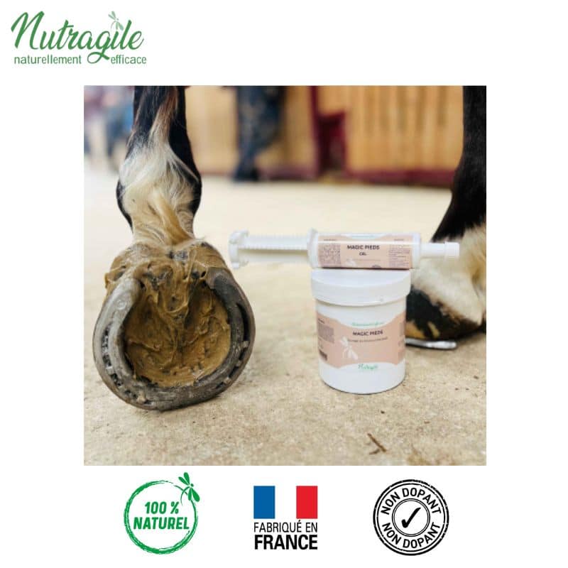 Pâte d'argile collante Magic Pieds NUTRAGILE chevaux Sellerie Equinoxe Shop Fuveau
