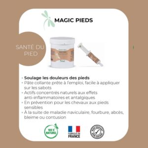 Pâte d'argile collante Magic Pieds chevaux NUTRAGILE Sellerie Equinoxe Shop Fuveau