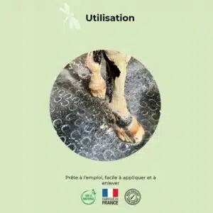 Pâte d'argile naturelle NUTRAGILE chevaux Sellerie Equinoxe Shop Pâte d'argile naturelle NUTRAGILE chevaux Sellerie Equinoxe Shop