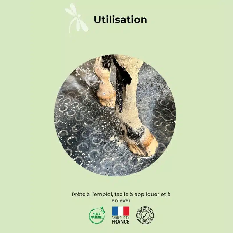 Pâte d'argile naturelle NUTRAGILE chevaux Sellerie Equinoxe Shop Pâte d'argile naturelle NUTRAGILE chevaux Sellerie Equinoxe Shop