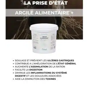 Plaquette Argile Alimentaire + NUTRAGILE Sellerie Equinoxe Shop Fuveau