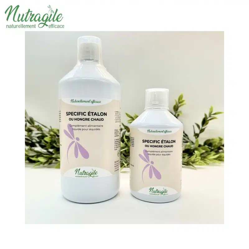 SPECIFIC ÉTALON ou Hongre Chaud NUTRAGILE Sellerie Equinoxe Shop Fuveau