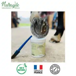 Soin des fourchettes NUTRAGILE chevaux Sellerie Equinoxe Shop Soin des fourchettes NUTRAGILE chevaux Sellerie Equinoxe Shop