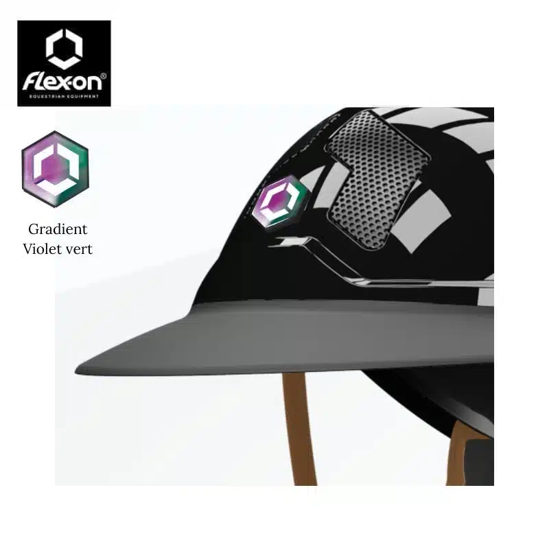 Stickers TREXON gradient violet vert FLEX ON Sellerie Equinoxe Shop Fuveau