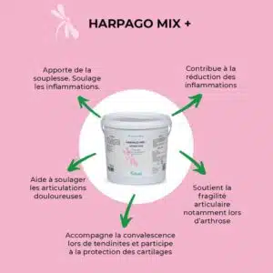 actions HARPGAGO MIX NUTRAGILE arthro aide pour chevaux Sellerie Equinoxe Shop Fuveau actions HARPGAGO MIX NUTRAGILE arthro aide pour chevaux Sellerie Equinoxe Shop Fuveau