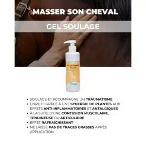 gel de massage soulage effet rafraichissant NUTRAGILE pour chevaux Sellerie Equinoxe Fuveau gel de massage soulage effet rafraichissant NUTRAGILE pour chevaux Sellerie Equinoxe Fuveau
