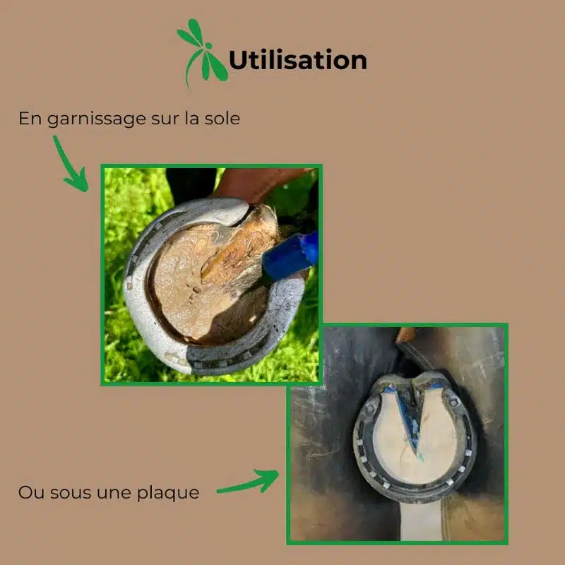 utilisation Pâte d'argile collante Magic Pieds NUTRAGILE chevaux Sellerie Equinoxe Shop Fuveau