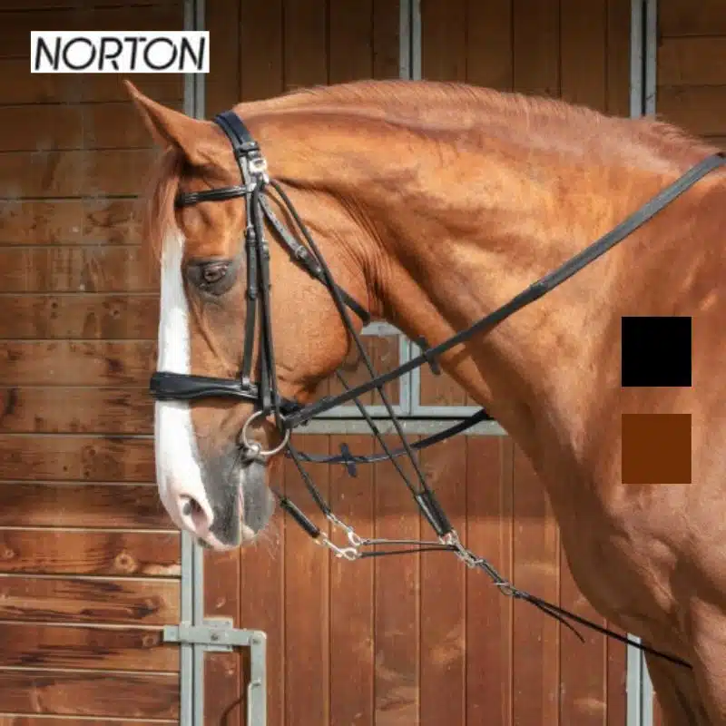 Gogue à poulies avec fourche indépendante NORTON PRO Noir 306403 Sellerie Equinoxe Shop