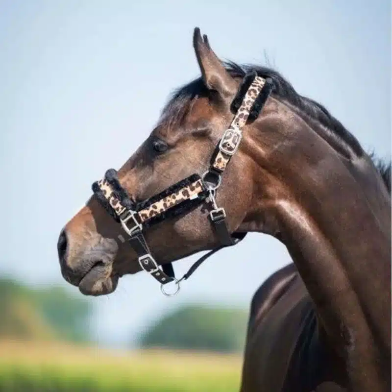 Licol Fur Imprimé Leopard fourrure synthétique cheval Sellerie Equinoxe Fuveau