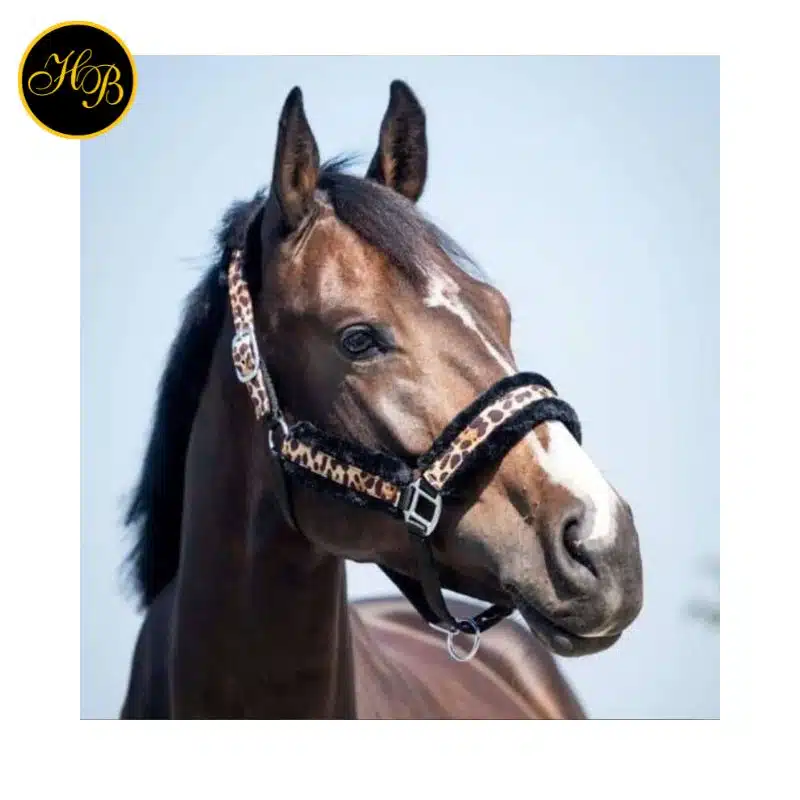 Vue de profil du licol HB Ruitersport léopard porté par un cheval