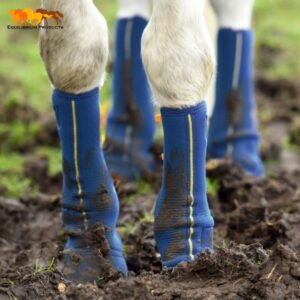 guêtres de boue Close Contact Chaps Equilibrium Cheval au pré Sellerie Equinoxe Shop Fuveau