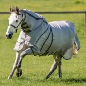 chemise-anti-mouches-prevention-dermite-cheval.webp Cheval avec chemise anti-mouches pour prévenir la dermite estivale